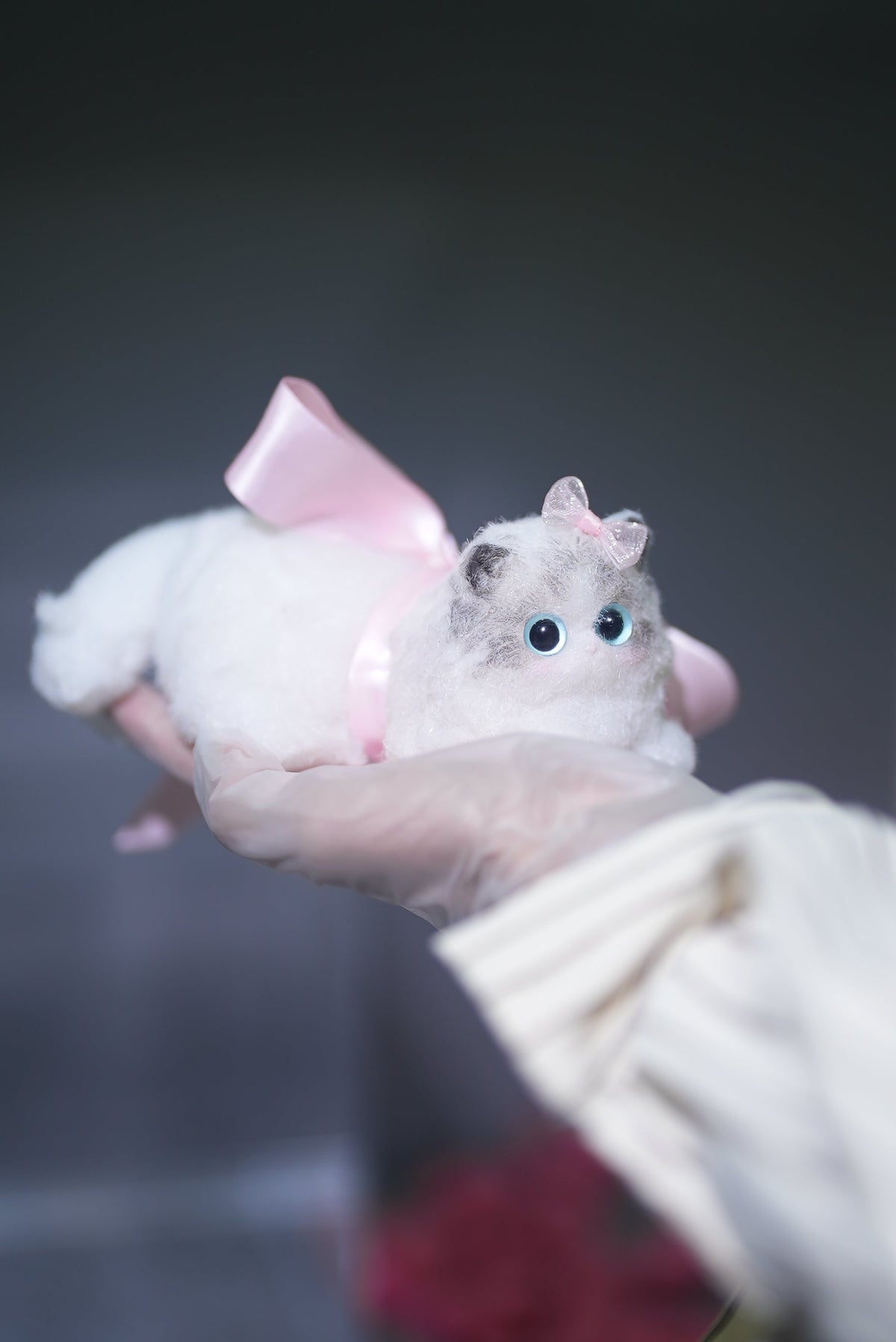 E004:  New Squishy Ragdoll Kitty/ Princess Kitty