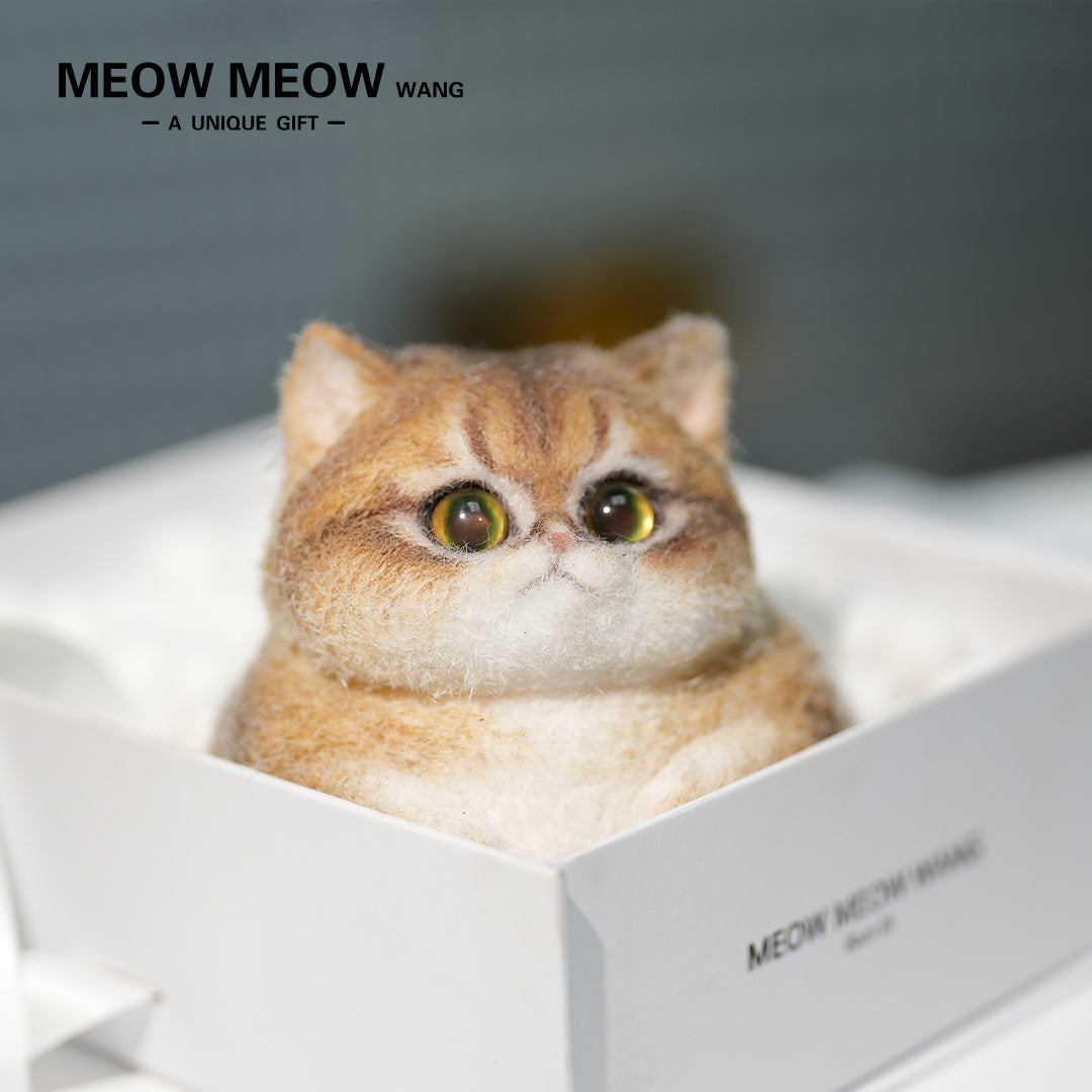 C29:A Unique Golden Shaded Tabby Cat
