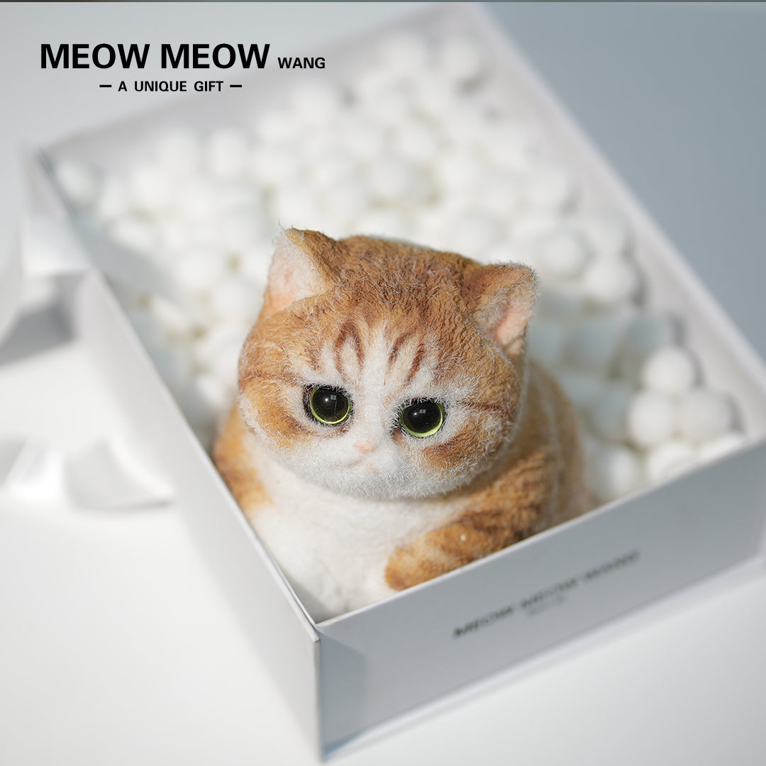 C38:A Chubby Ginger Cat With Green Eyes