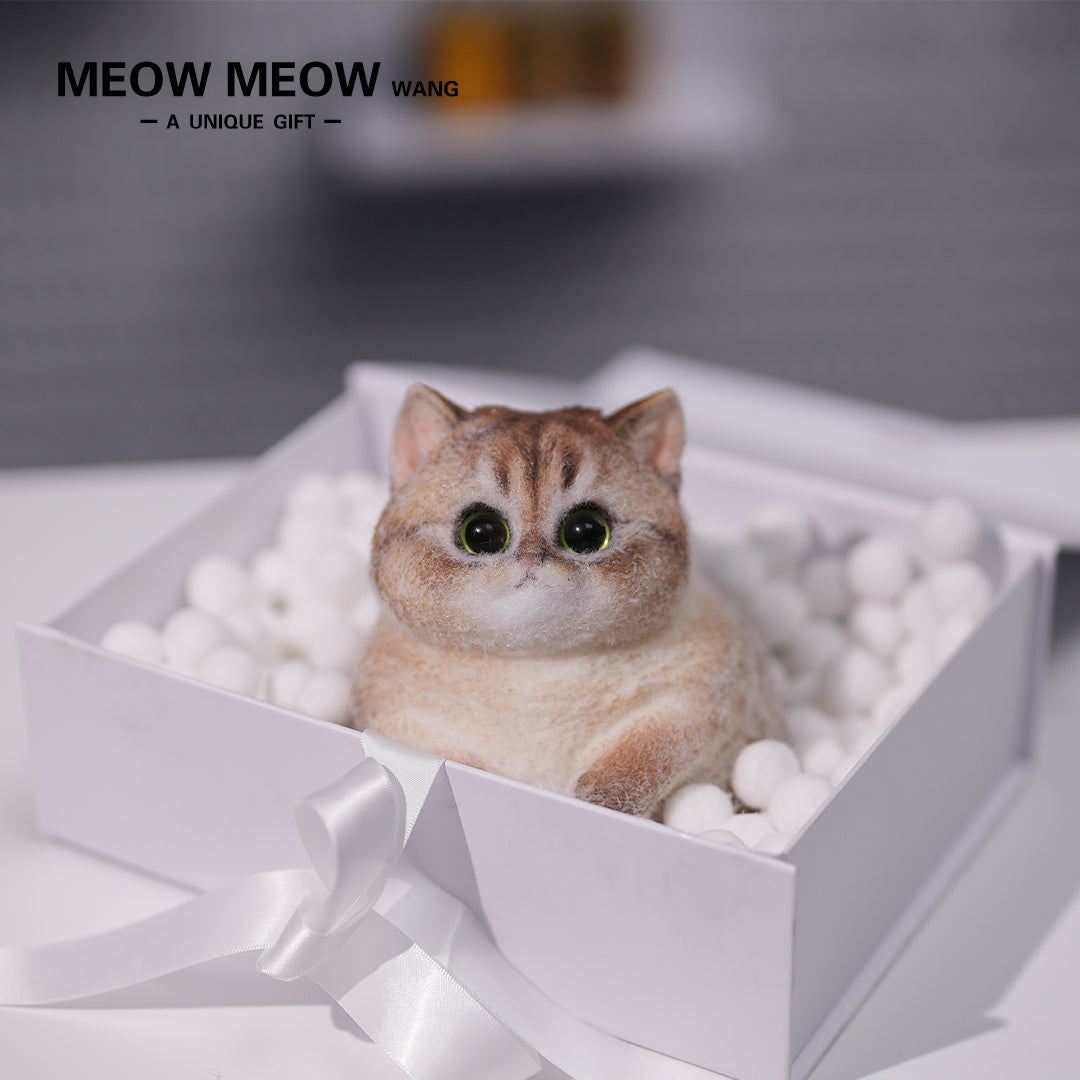 C02: Cute Chubby Squishy Kitty with Pink Ear