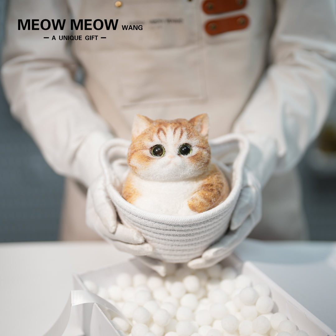 C38:A Chubby Ginger Cat With Green Eyes