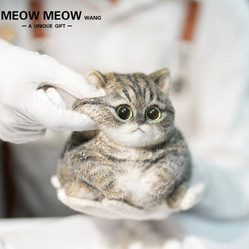 C39:A Little Tiger-Striped Soldier With Green Eyes