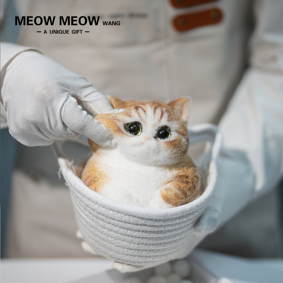 C38:A Chubby Ginger Cat With Green Eyes