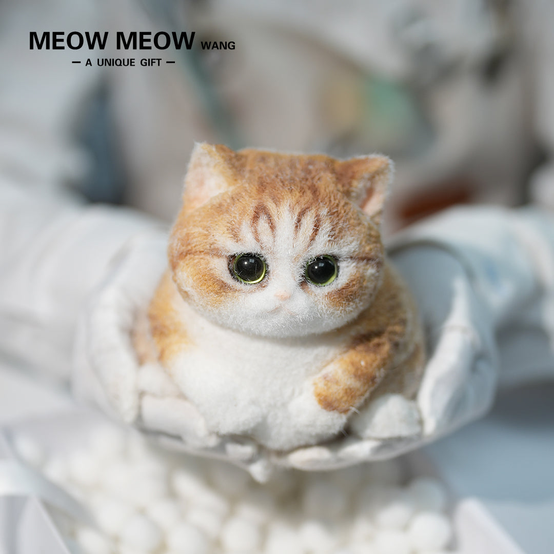 C38:A Chubby Ginger Cat With Green Eyes