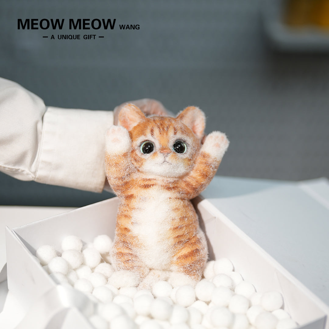 B12:Rare Blue-Eyed Ginger Cat