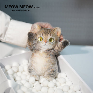 B09:A Yellow Cat With Vertical Pupils