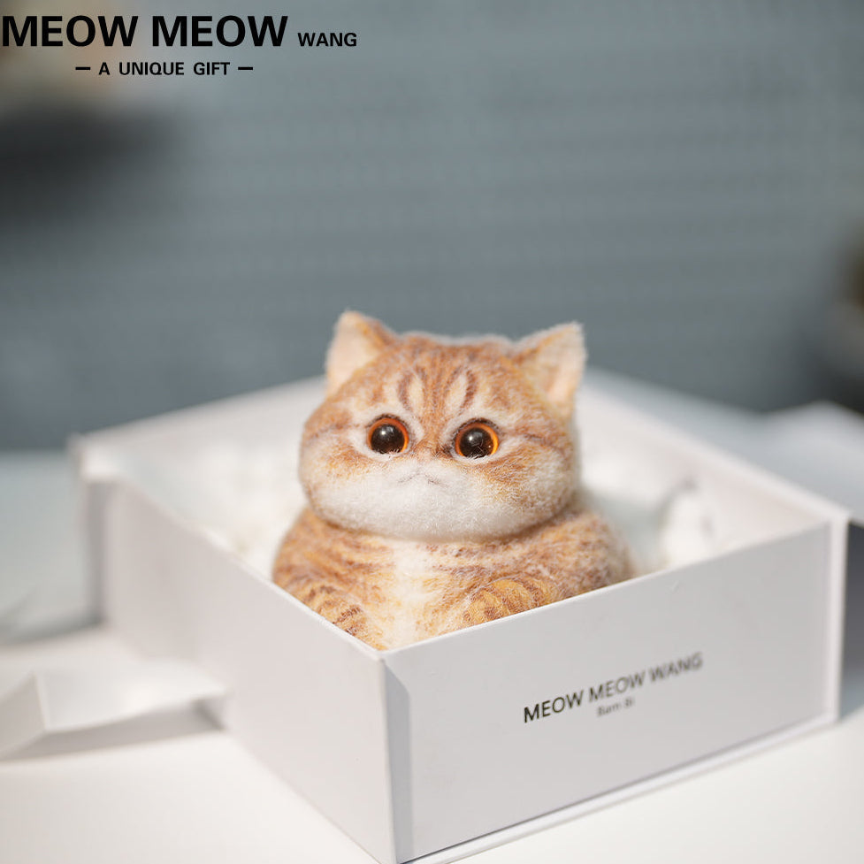 C41:Soft, Cute Chubby Orange Cat