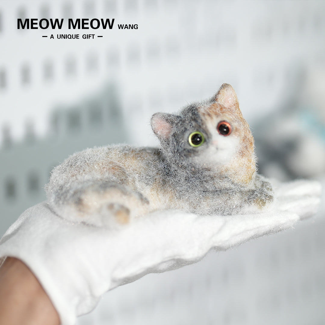 E04:Fluffy Heteromyptic Kitten
