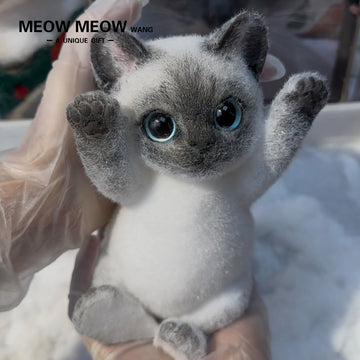 A05:ovely Slim Siamese Cat