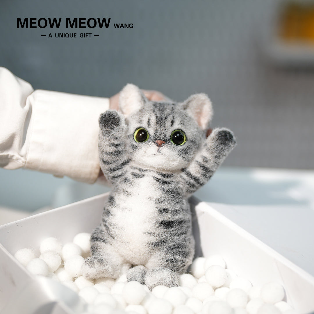 B11:A Tabby Cat With Green Eyes