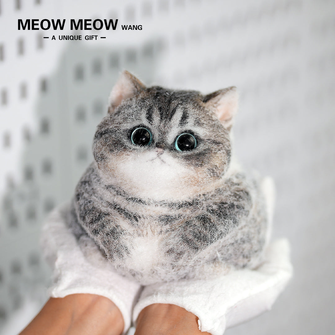 C18:Cute Chubby Black Brown Tabby Cat