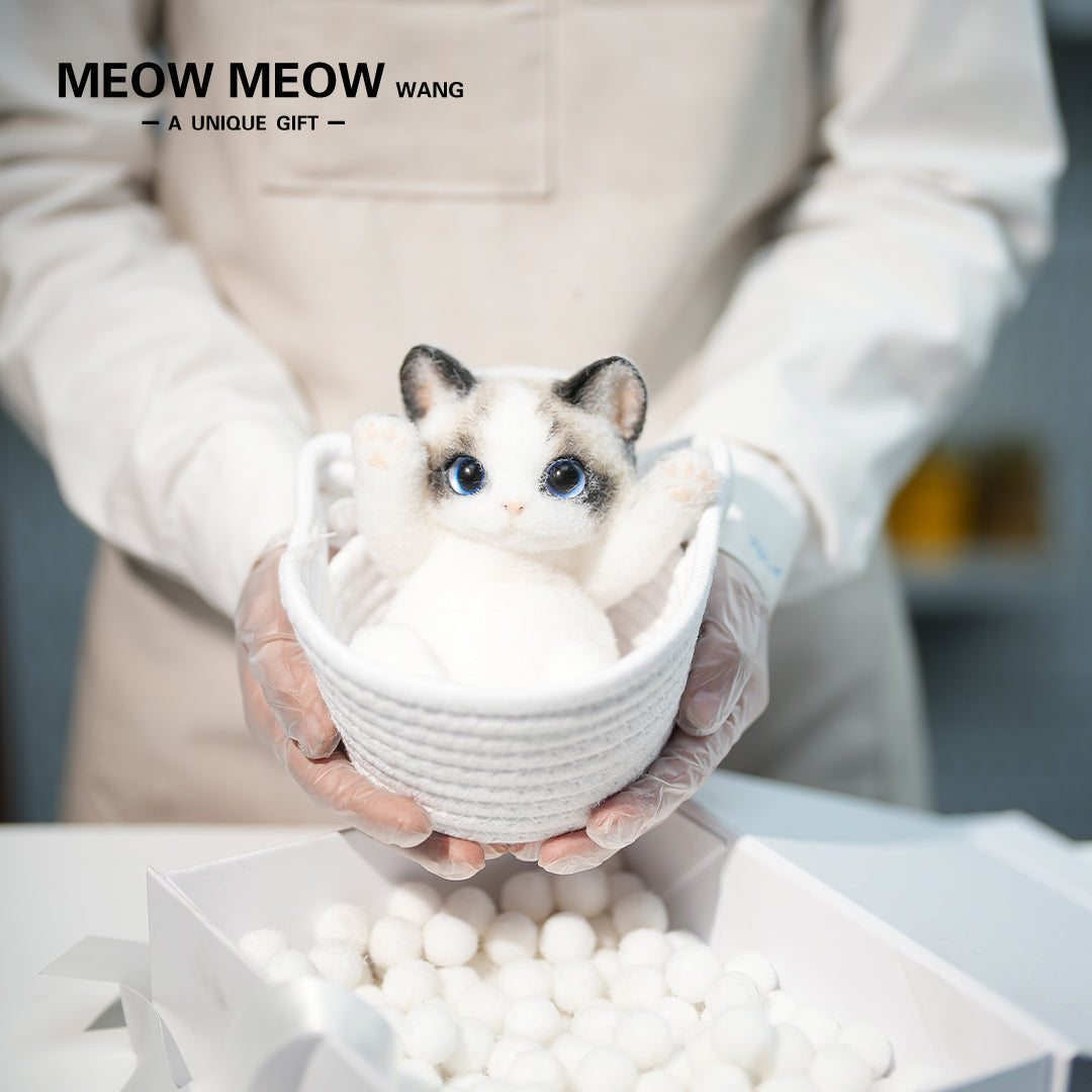 B17:Blue-Eyed Cute Doll Cat Raising Its Paw