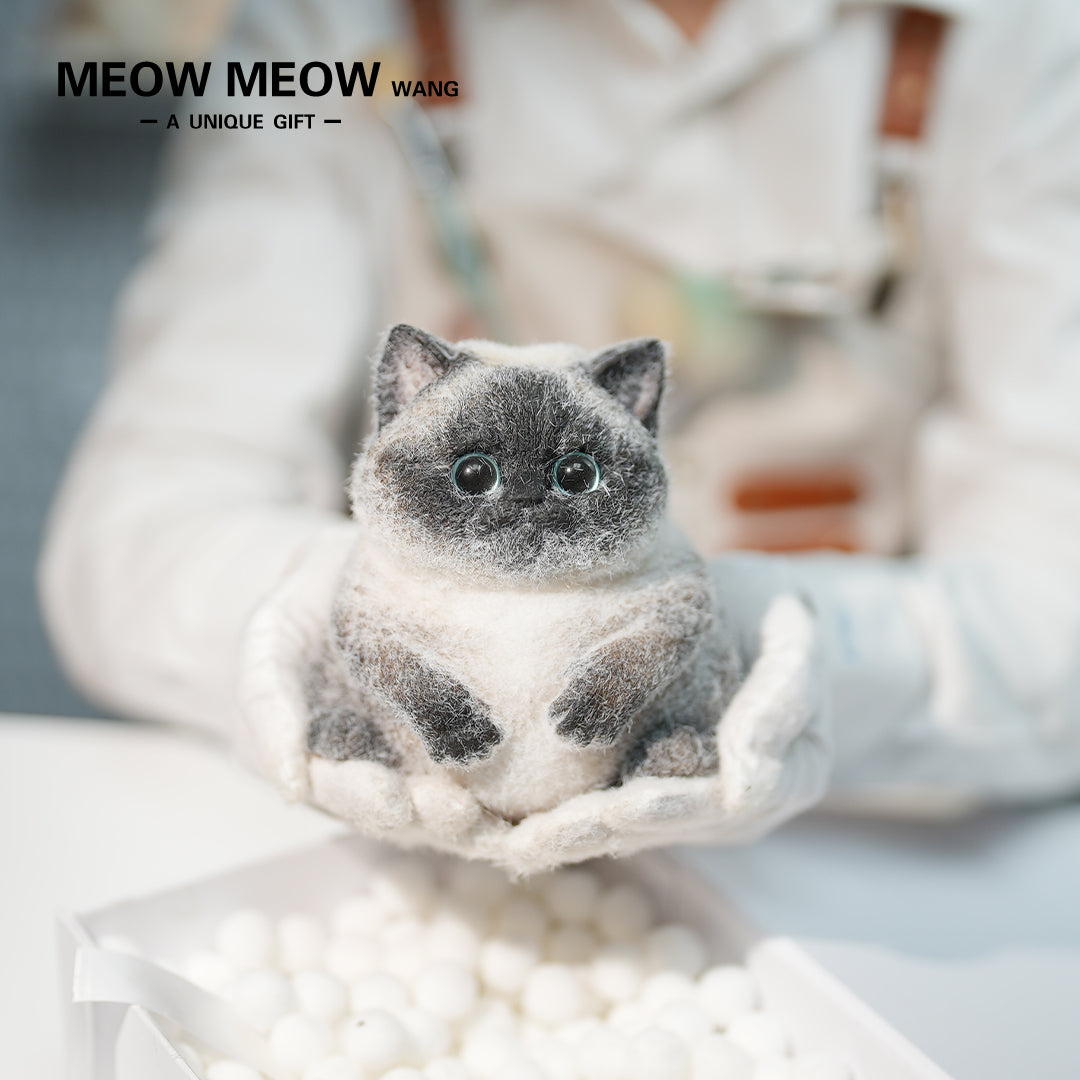 C40:Point-Coloured Siamese Cat