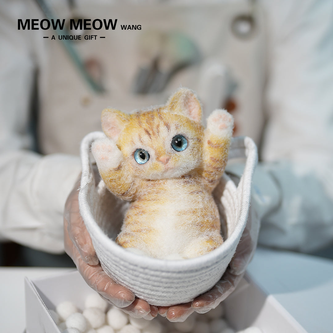 B16:Cute Little Golden-Orange Kitten