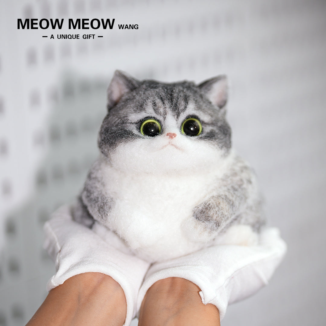 C17:Raccoon Cat With White Gloves And Green Eyes.