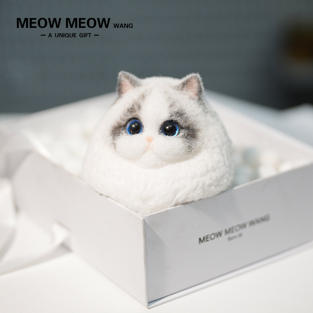 A18:Super Cute Light-Coloured Ragdoll Cat