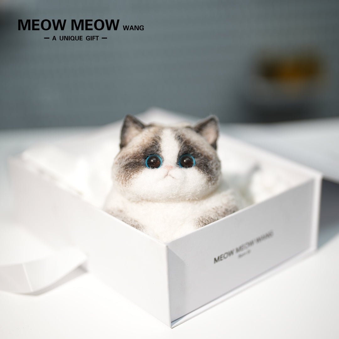 C36:Chubby Elf Ragdoll Cat