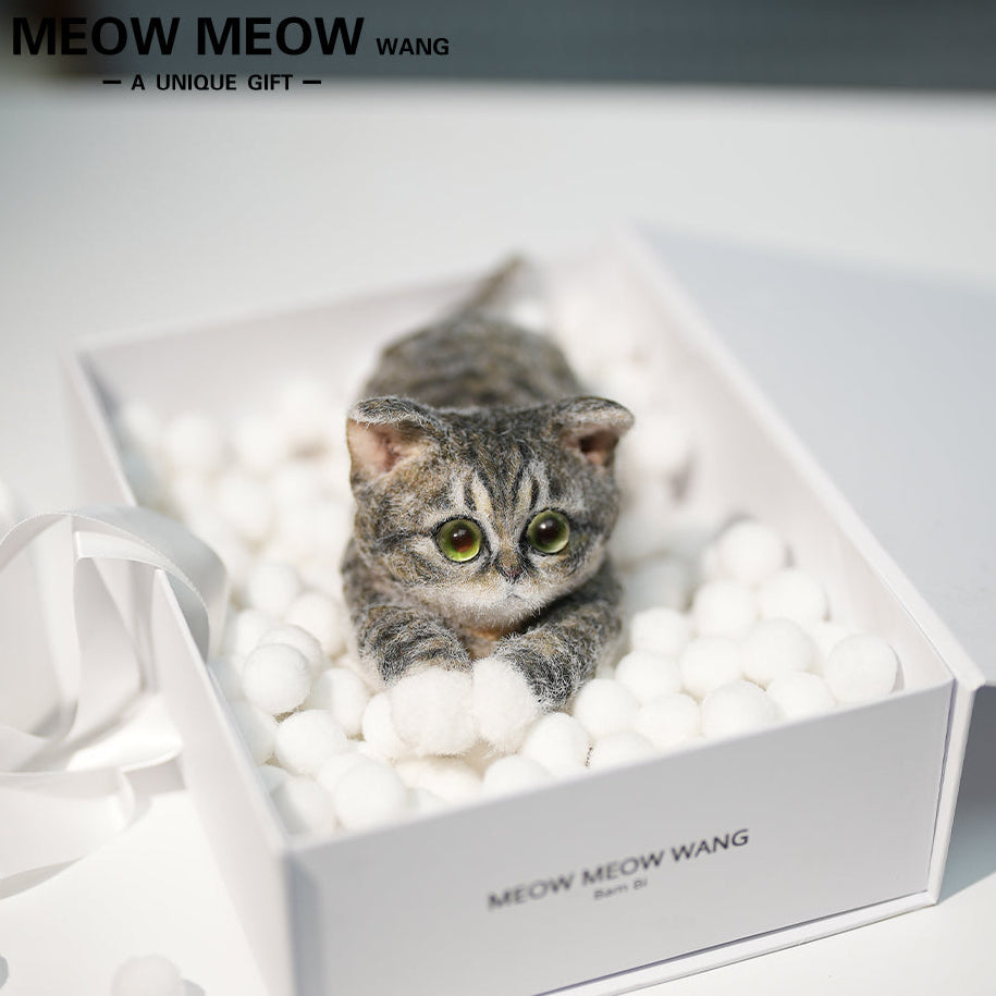 B22:A Lying Tabby Cat