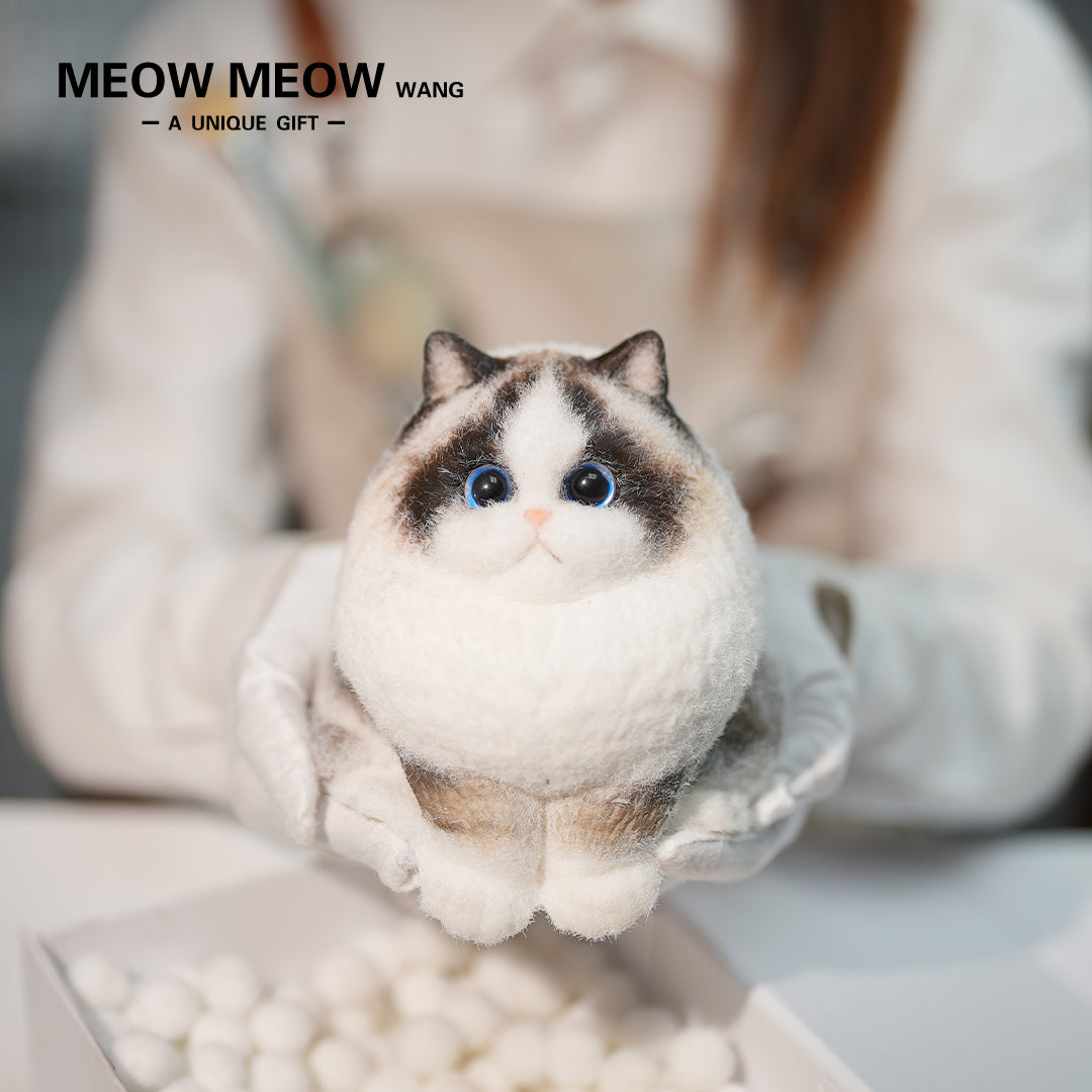 A22:A ColourPoint Ragdoll Cat