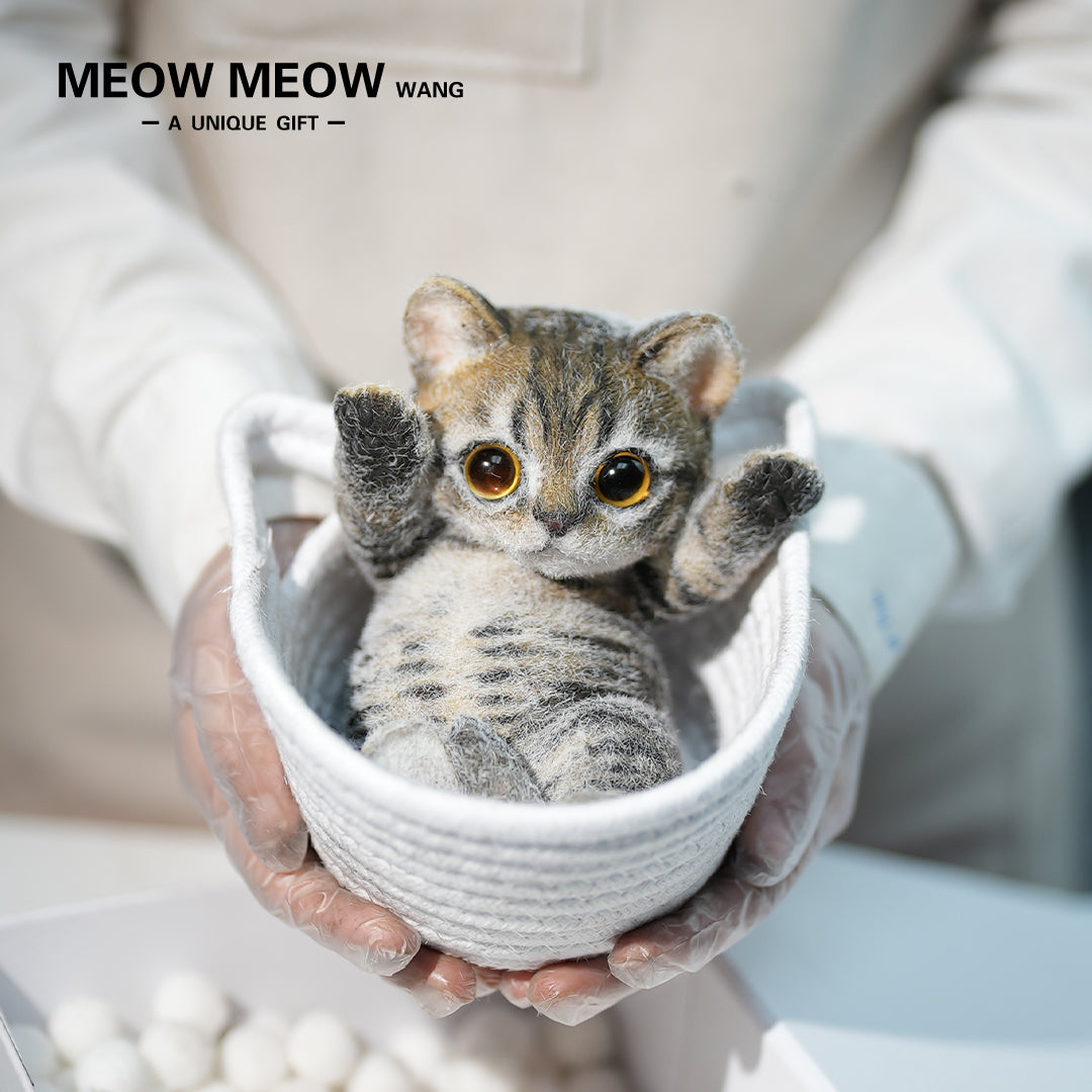 B21:A Soft Yellow-Brown Tabby Kitten