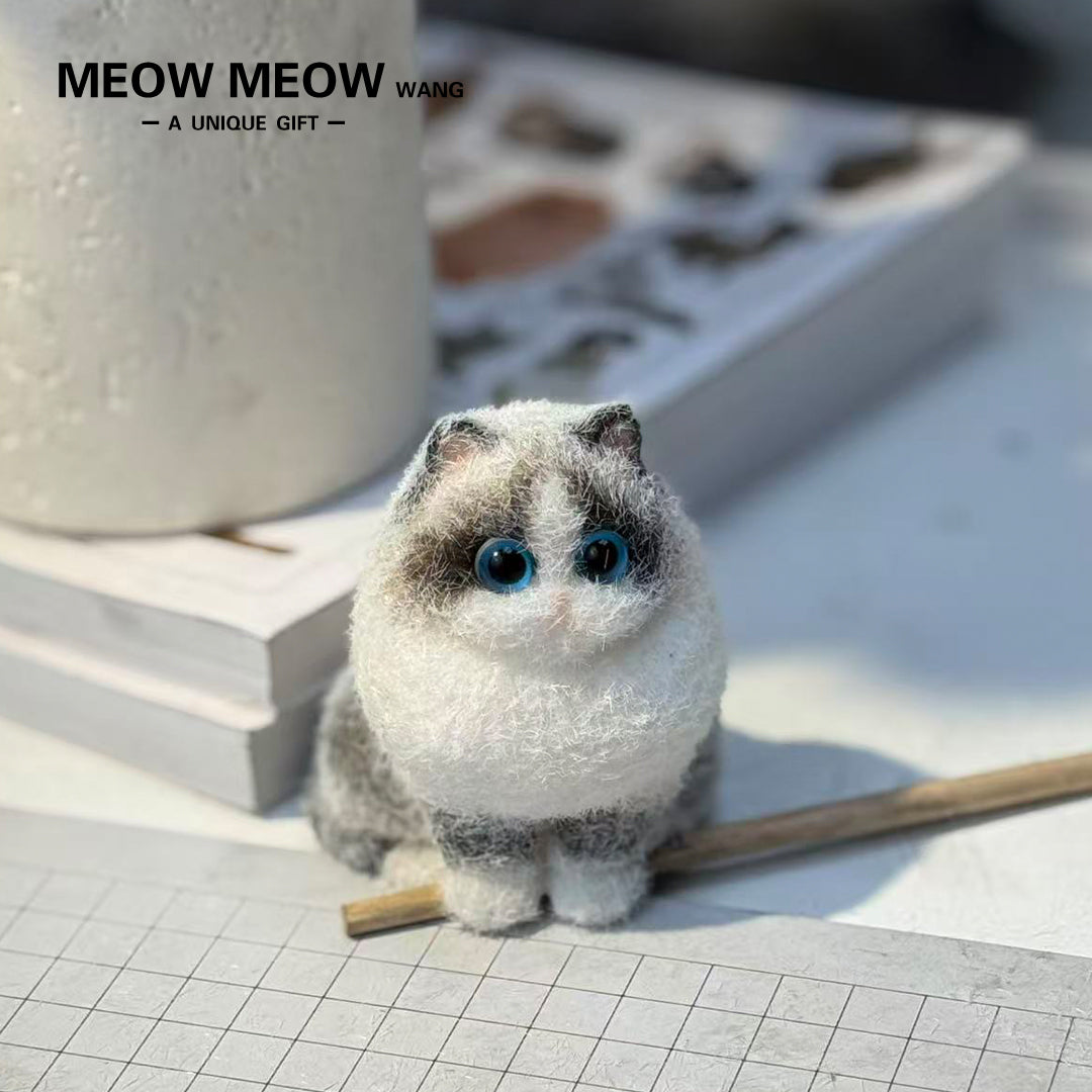 E006:Cute Miniature Ragdoll Cat