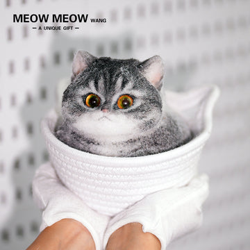 C16:Mysterious Yellow-Green Eyes Fat Cat