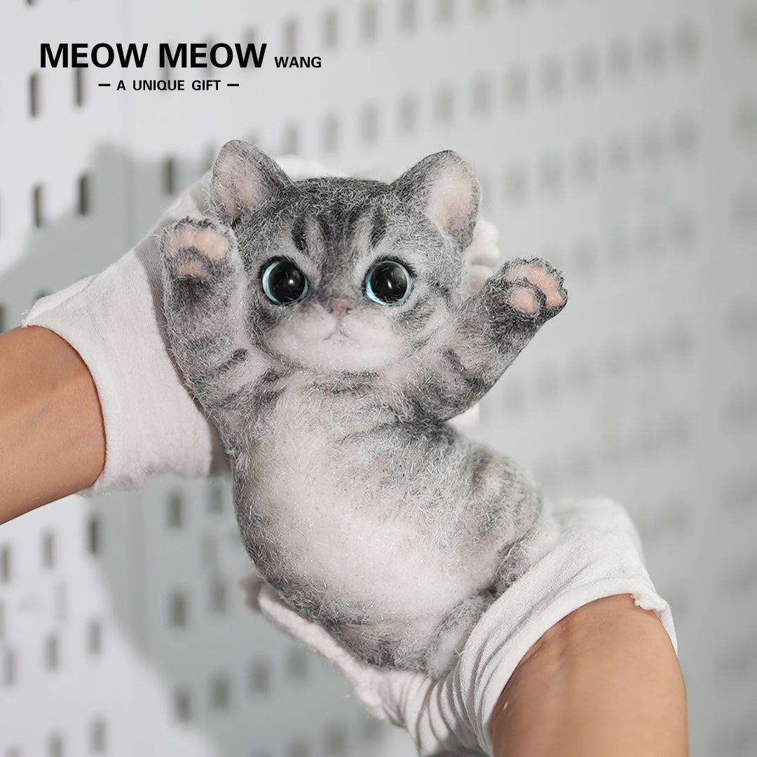 B07:Skinny Cat With Pink Paws And Blue Eyes