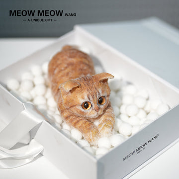 B23:A Ginger Cat Lying Down