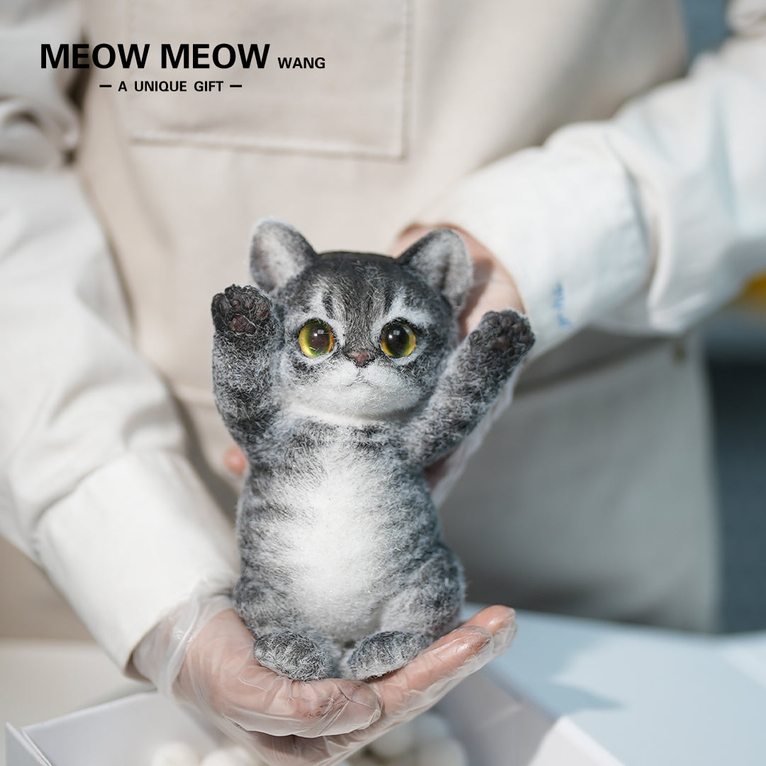 B06:Black Slim Tabby With Yellow-Green Eyes