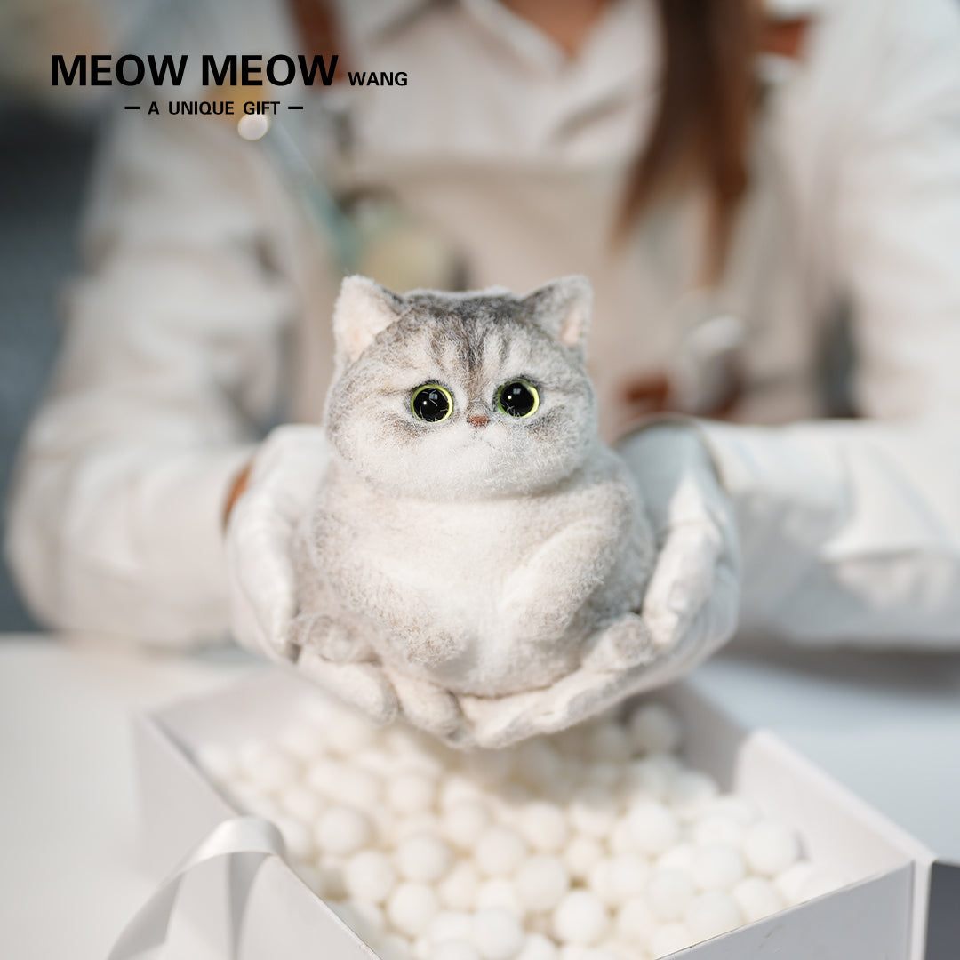 C34:Adorable Chubby Kitten In A Basket