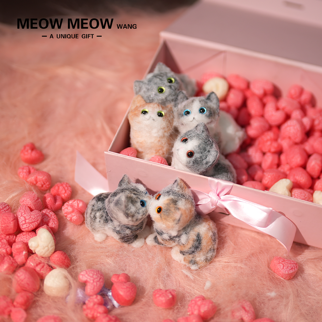 E01: Six Cute Kittens Family