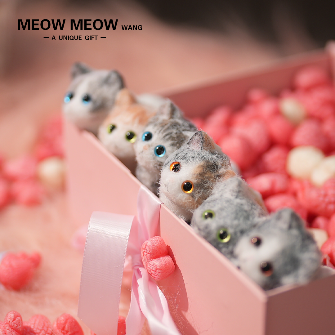 E01: Six Cute Kittens Family