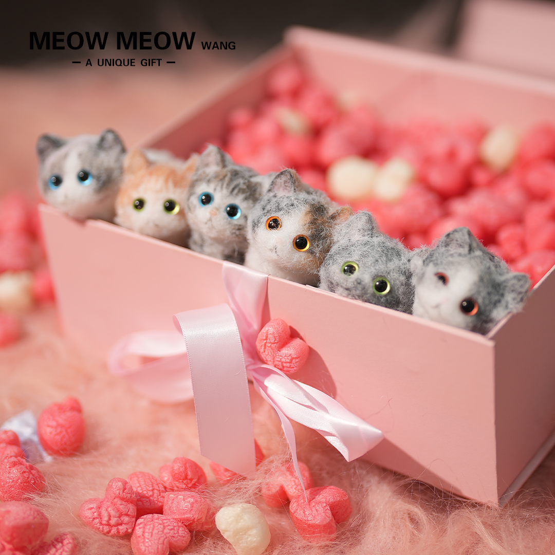 E01: Six Cute Kittens Family