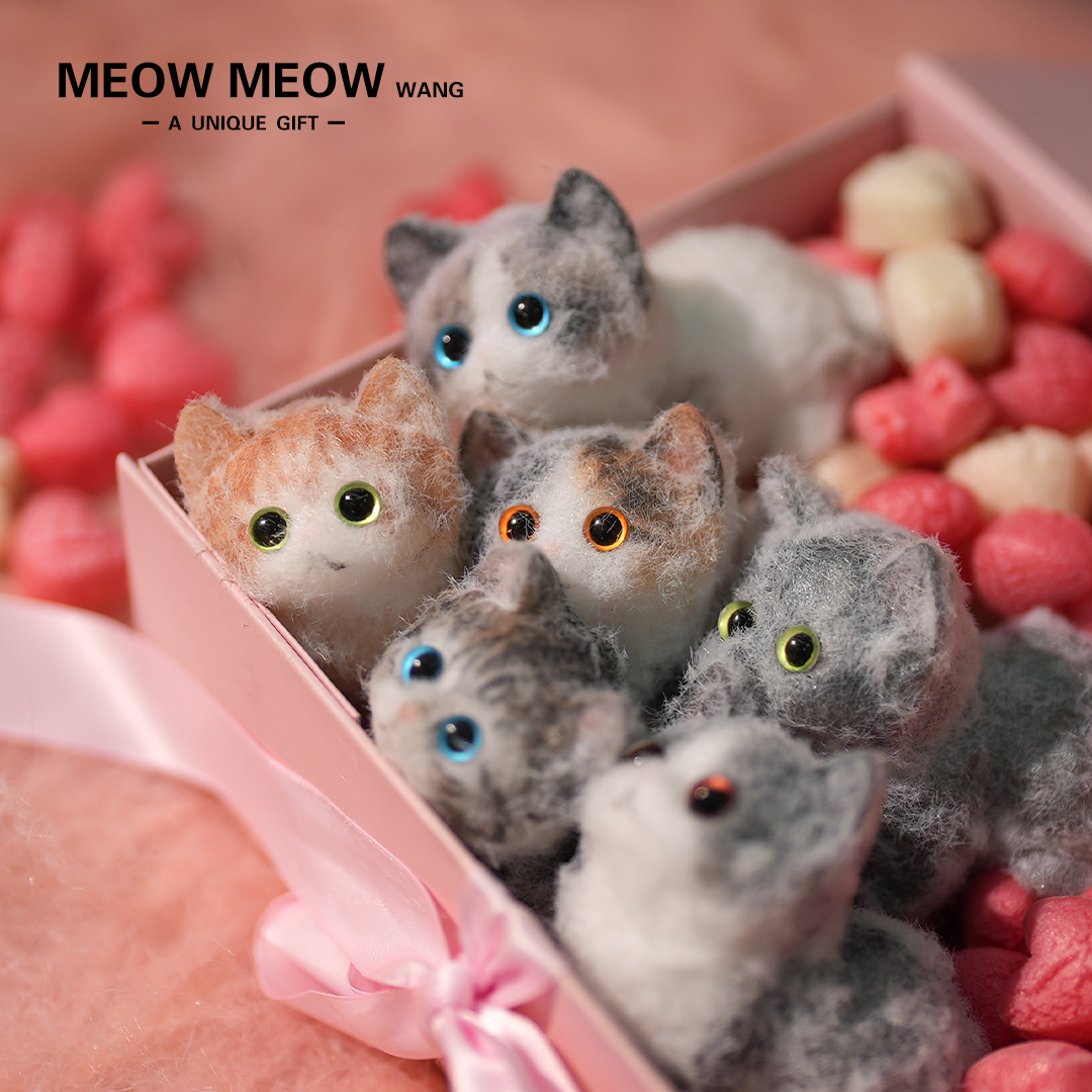 E01: Six Cute Kittens Family