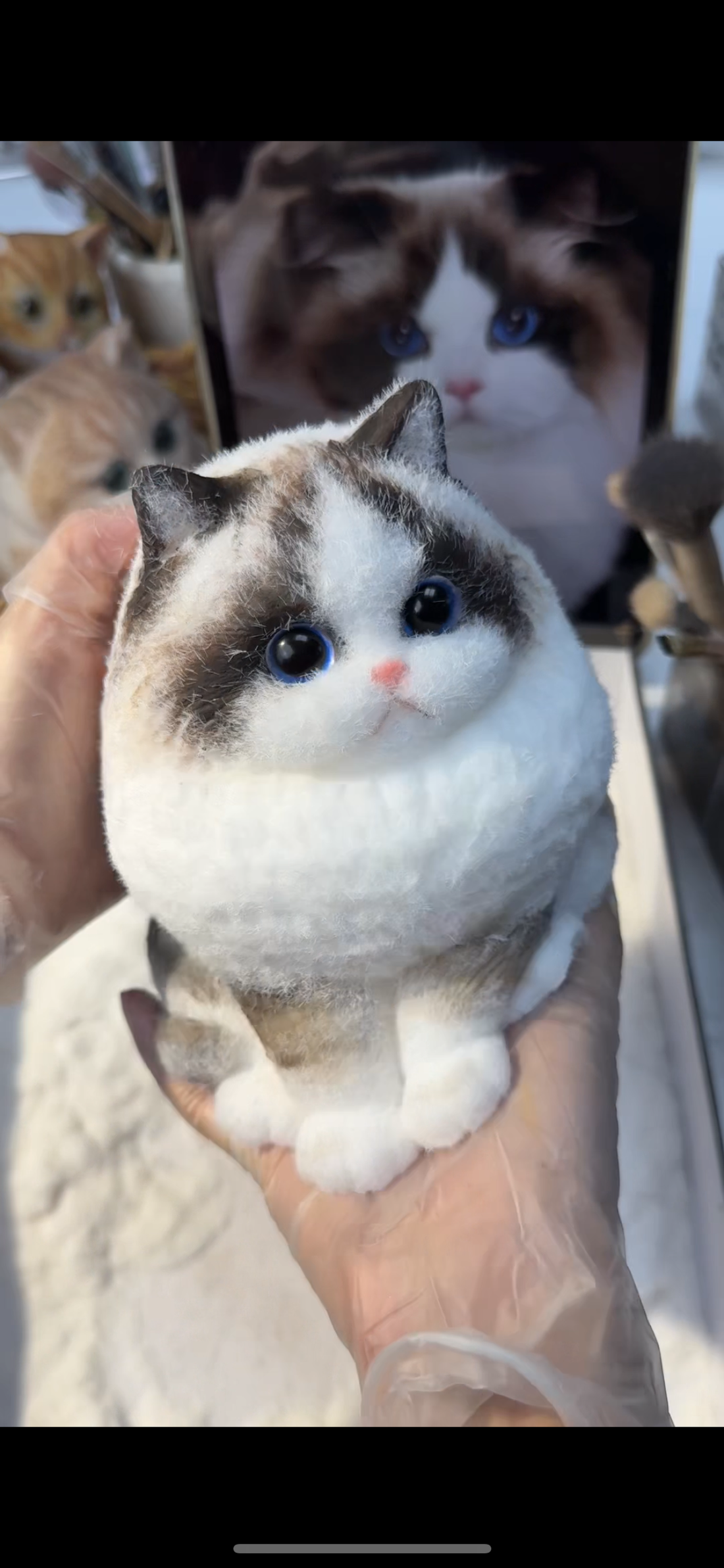 A003: Customized Long-haired Cat ----'chat' icon on the left bottom to send photos to us