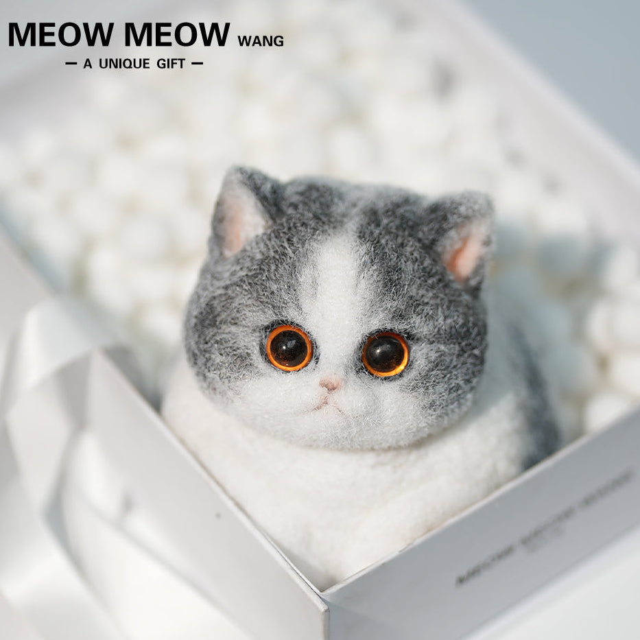 C32:Cute Blue And White Cat