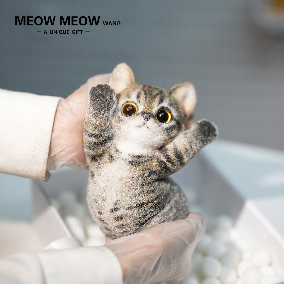 B21:A Soft Yellow-Brown Tabby Kitten