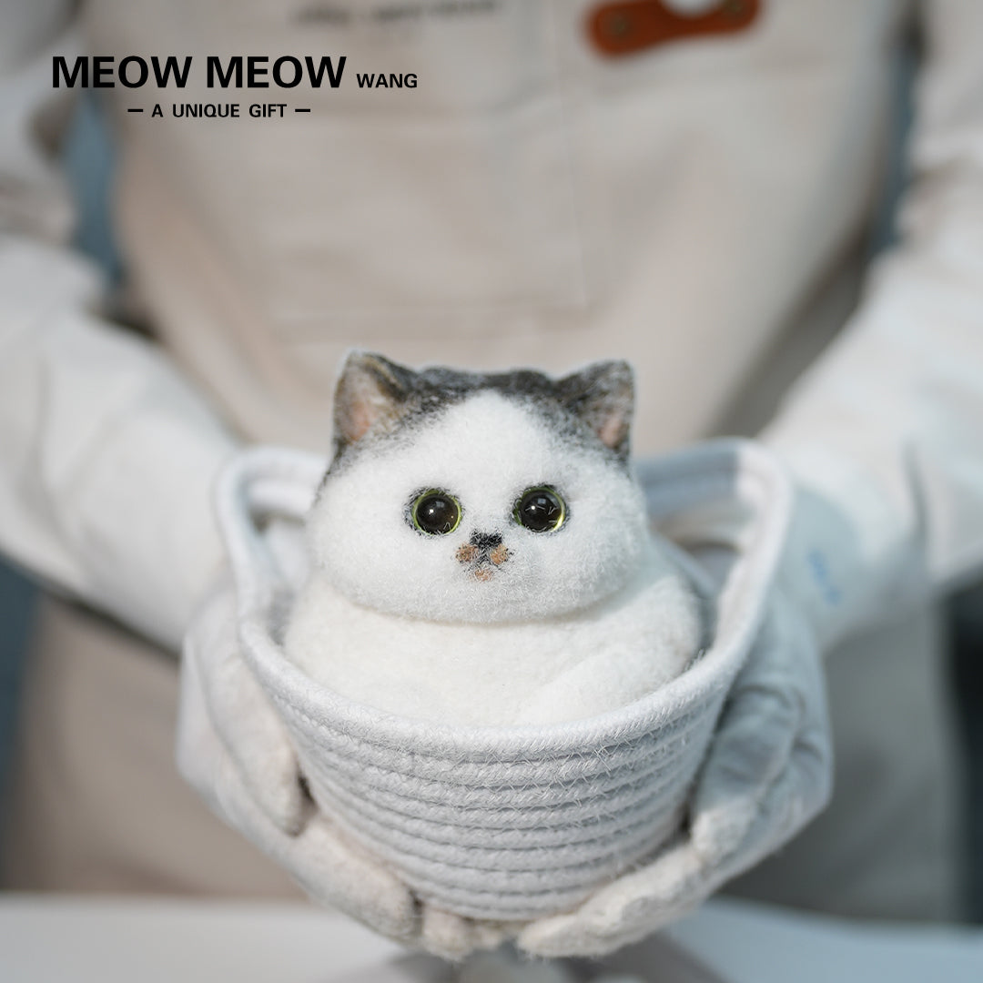C23:A Cat With A Yellow Beard