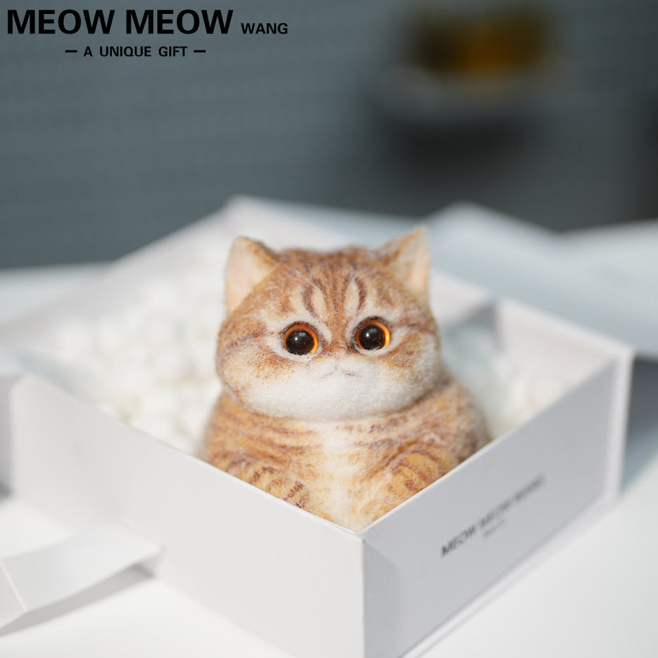 C41:Soft, Cute Chubby Orange Cat