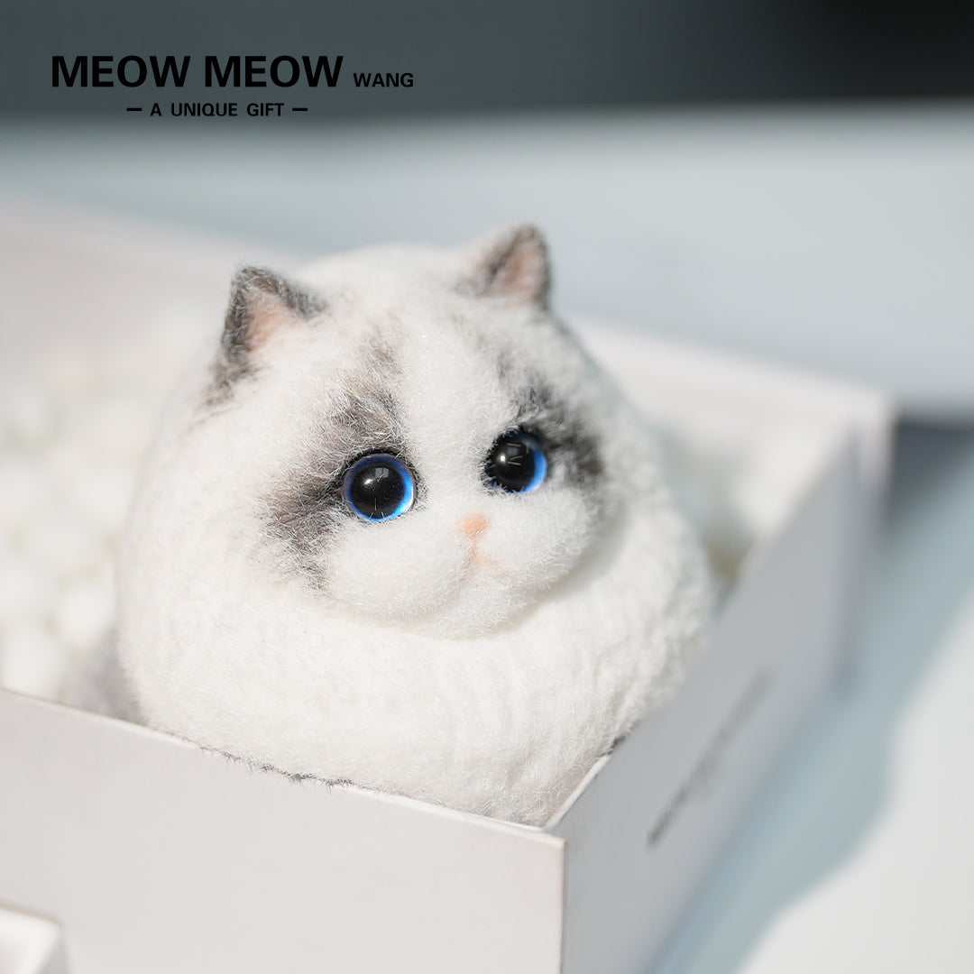 A18:Super Cute Light-Coloured Ragdoll Cat