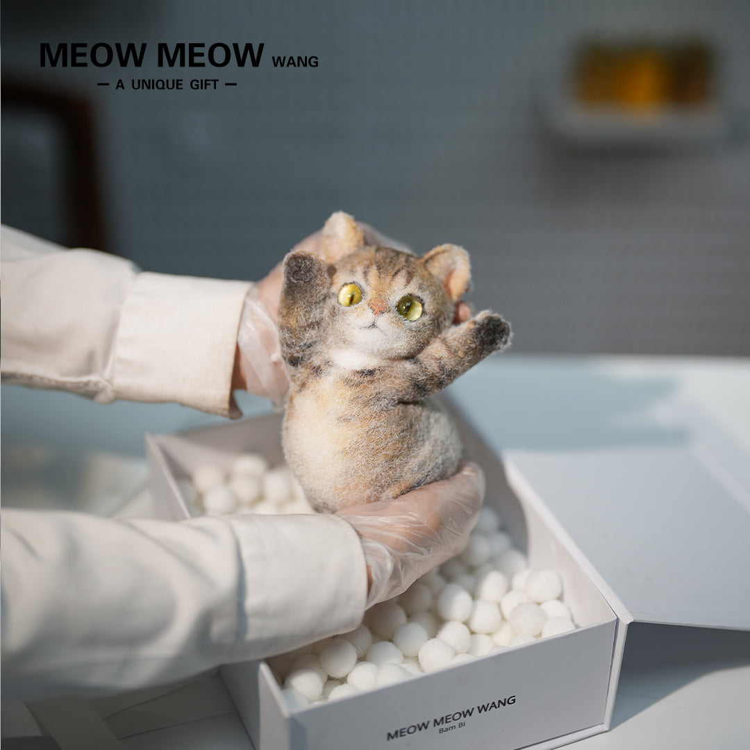 B09:A Yellow Cat With Vertical Pupils