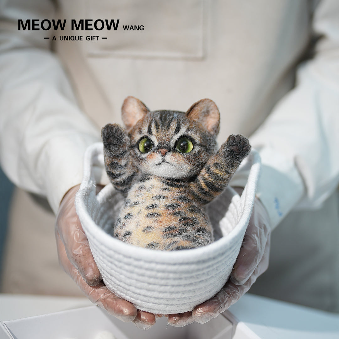 B14:A Golden Leopard Cat With A Bloated Belly