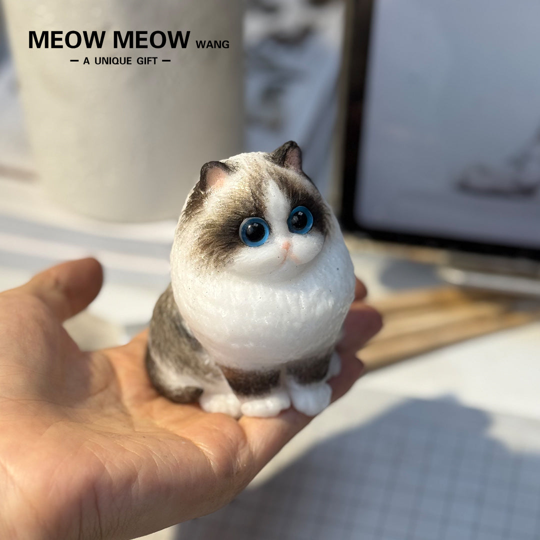 E006:Cute Miniature Ragdoll Cat