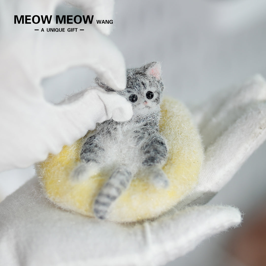 E03:Cute Little Kitten Sitting On A Pillow.