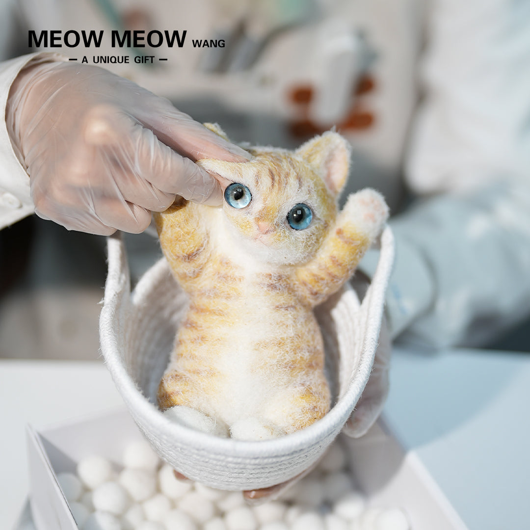 B16:Cute Little Golden-Orange Kitten