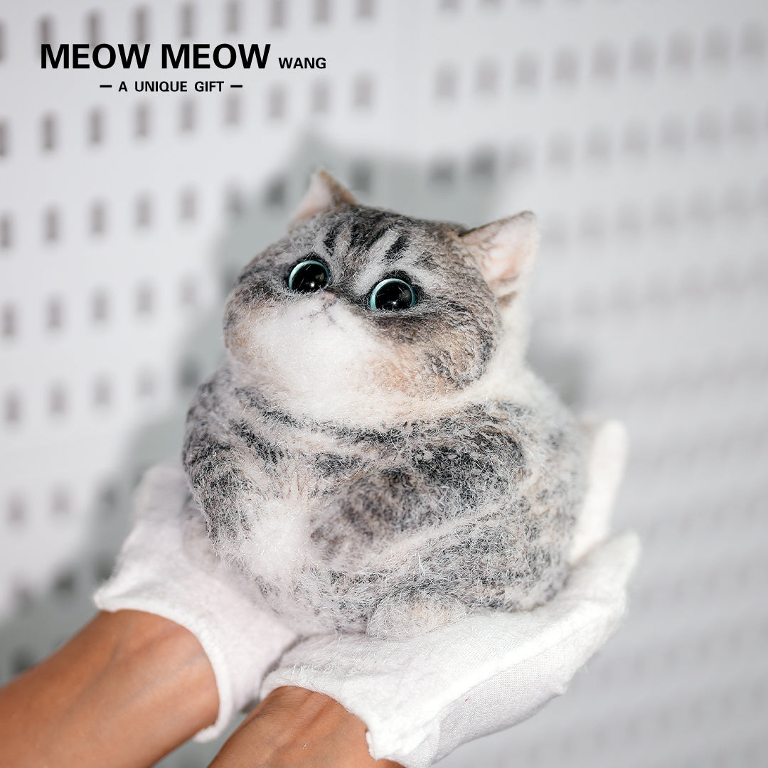 C18:Cute Chubby Black Brown Tabby Cat