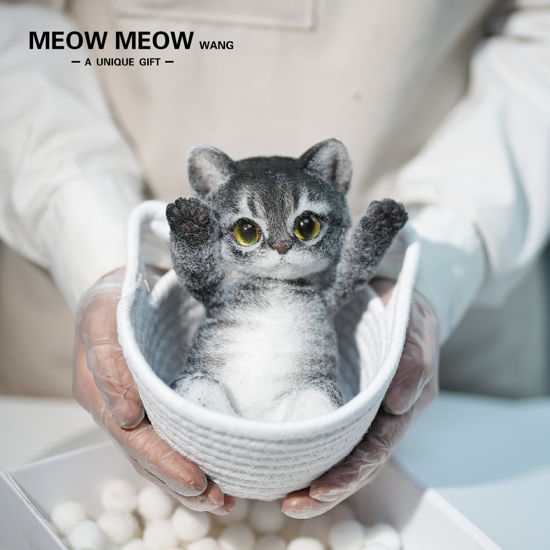 B06:Black Slim Tabby With Yellow-Green Eyes