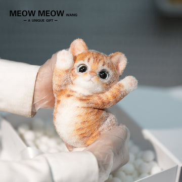 B12:Rare Blue-Eyed Ginger Cat