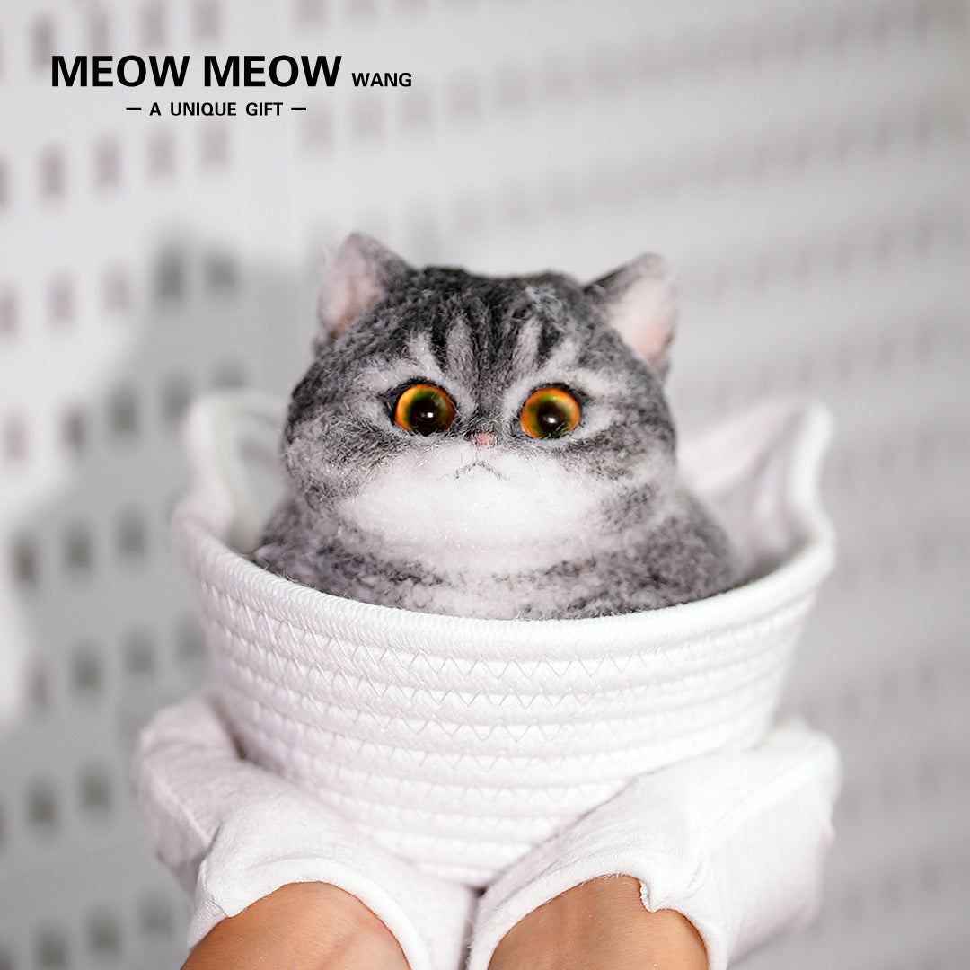 C16:Mysterious Yellow-Green Eyes Fat Cat