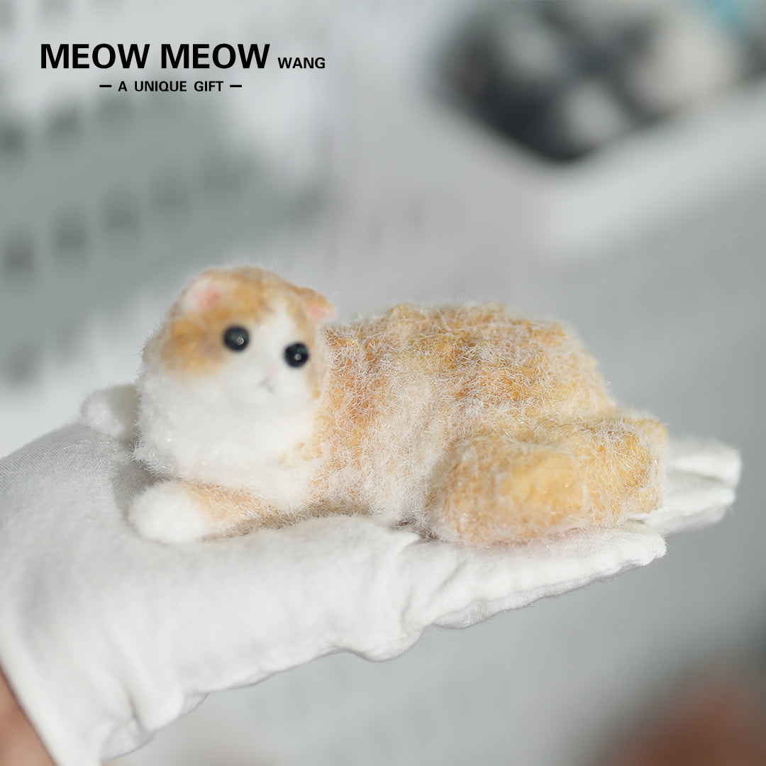 E05:Cute And Lively Orange Kitten